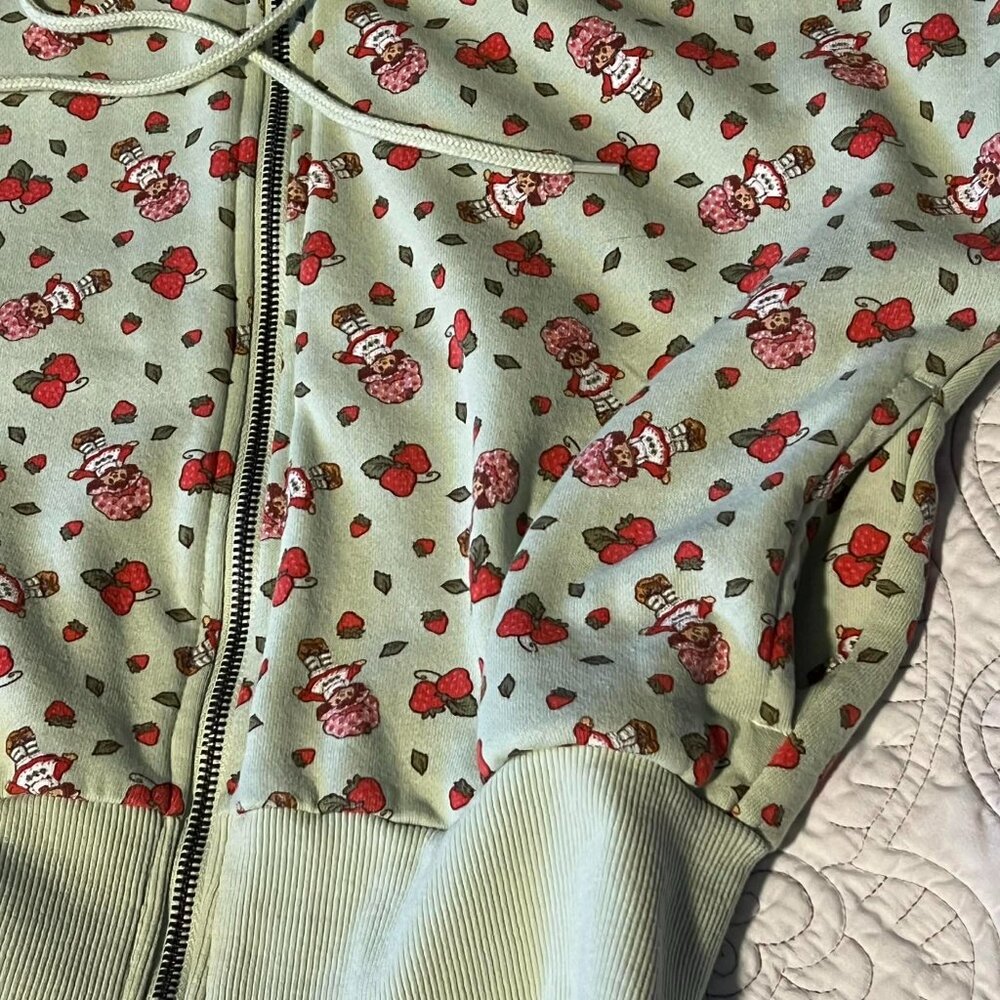 Strawberry Shortcake Cropped Full Zip Hoodie Light Green Size M - Picture 6 of 13